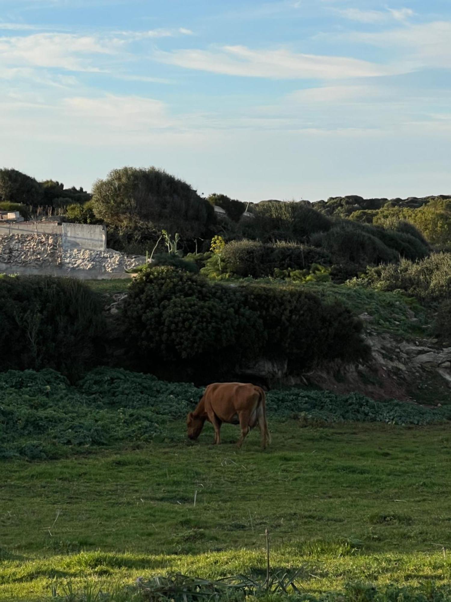 Mongofre Agroturismo Maó Exterior foto